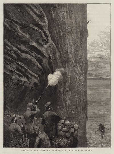 Schießen auf Seevögel auf dem Bass Rock, Firth of Forth von William Bazett Murray